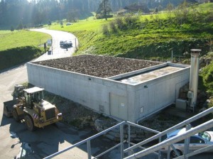 Xử lý khí thải biofin nhà máy phân gà